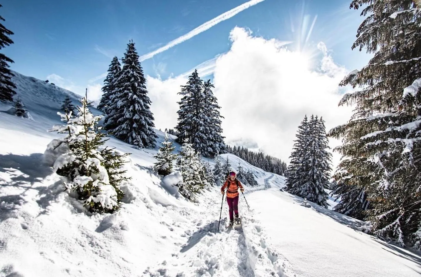 Anna Maria An37 Cosy & Nature 4 Pers Chatel Apartment